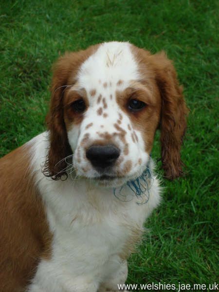 2009-04-17 29L.JPG